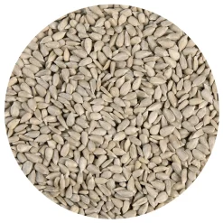 BrandNewCake Zonnebloempitten 250g Outlet