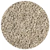 BrandNewCake Zonnebloempitten 3kg Online