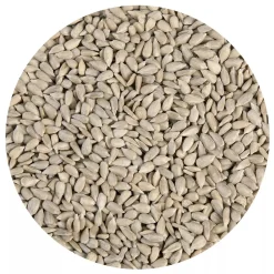 BrandNewCake Zonnebloempitten 3kg Online